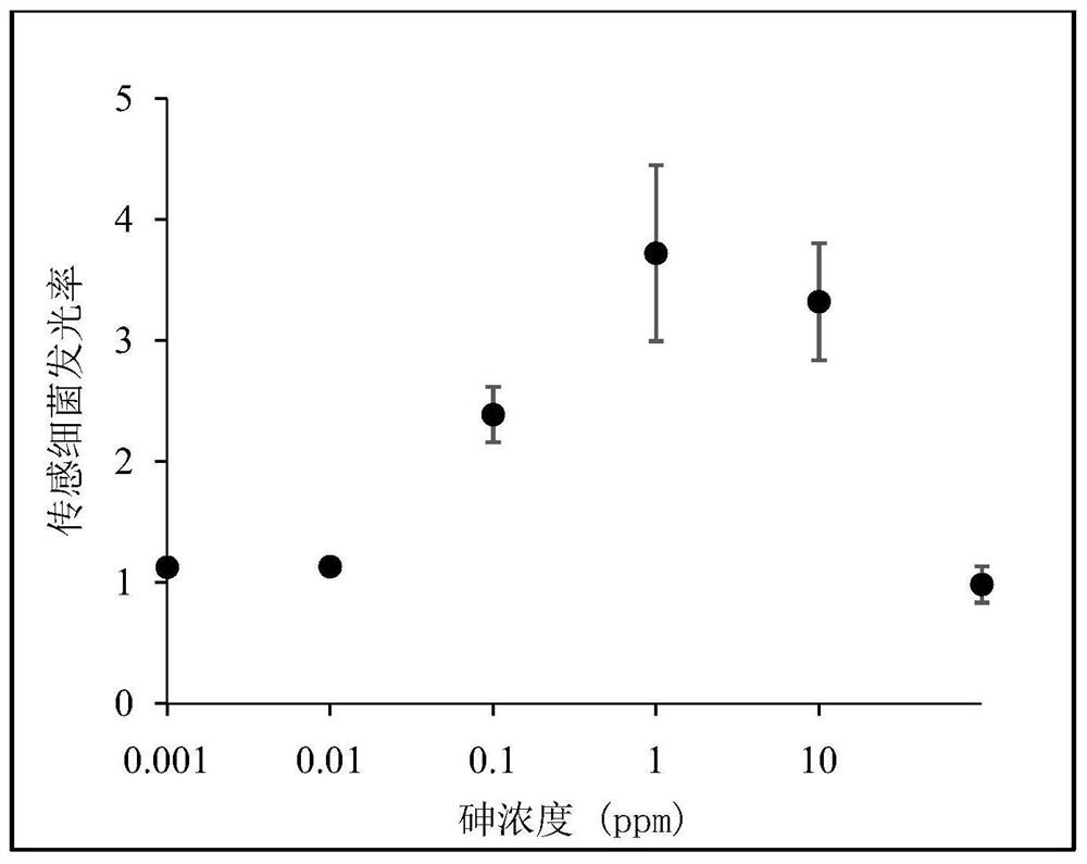 Adsorption film for biofilm DGT device, preparation method and application