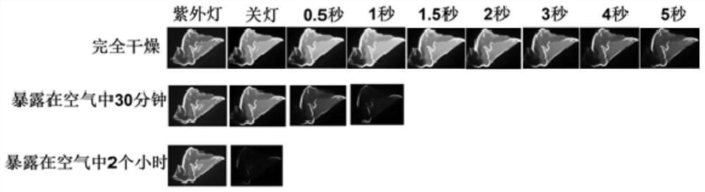 A time-sensitive room temperature phosphorescent anti-counterfeiting material and its preparation method and application