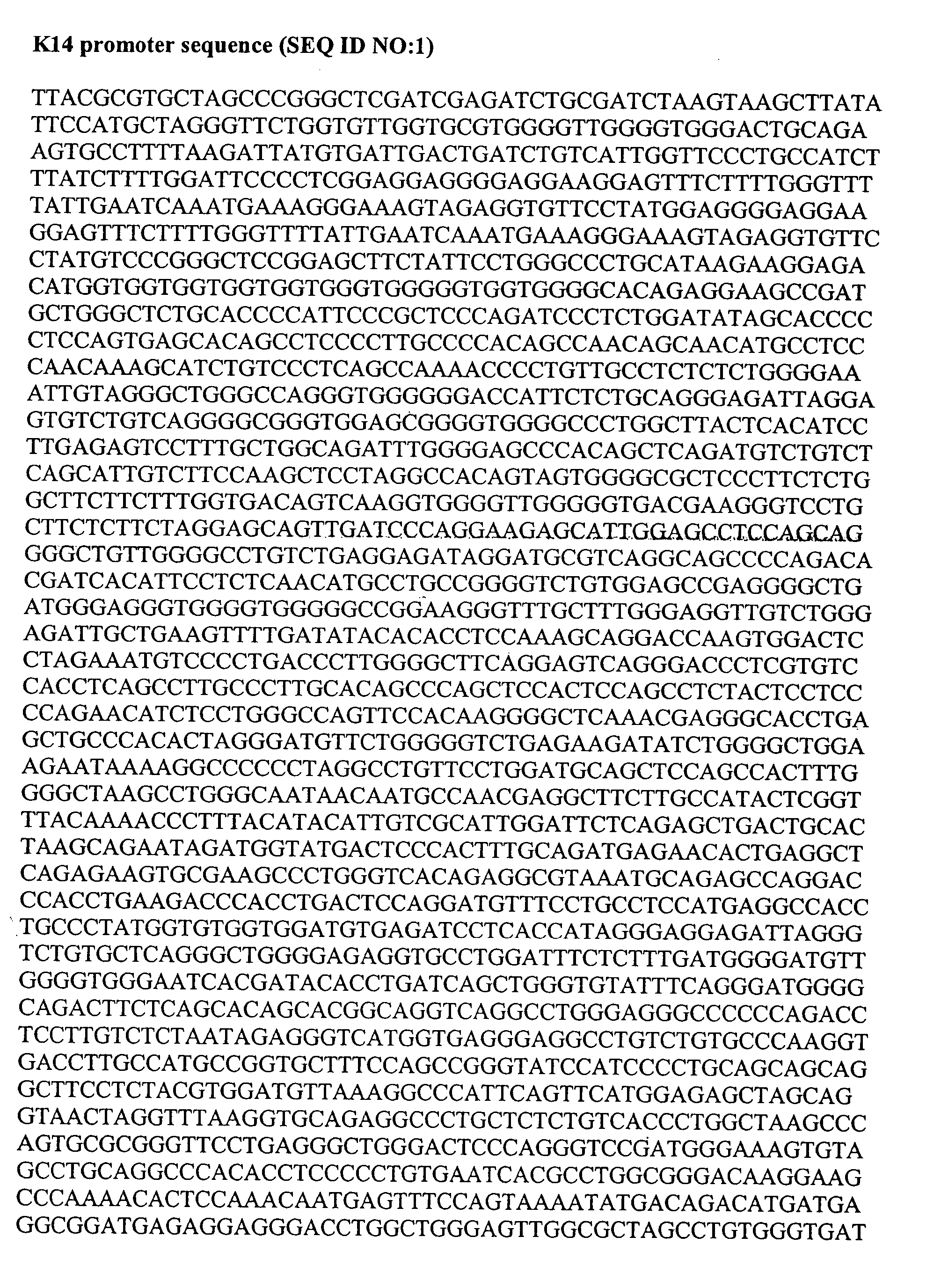 Vectors for stable gene expression