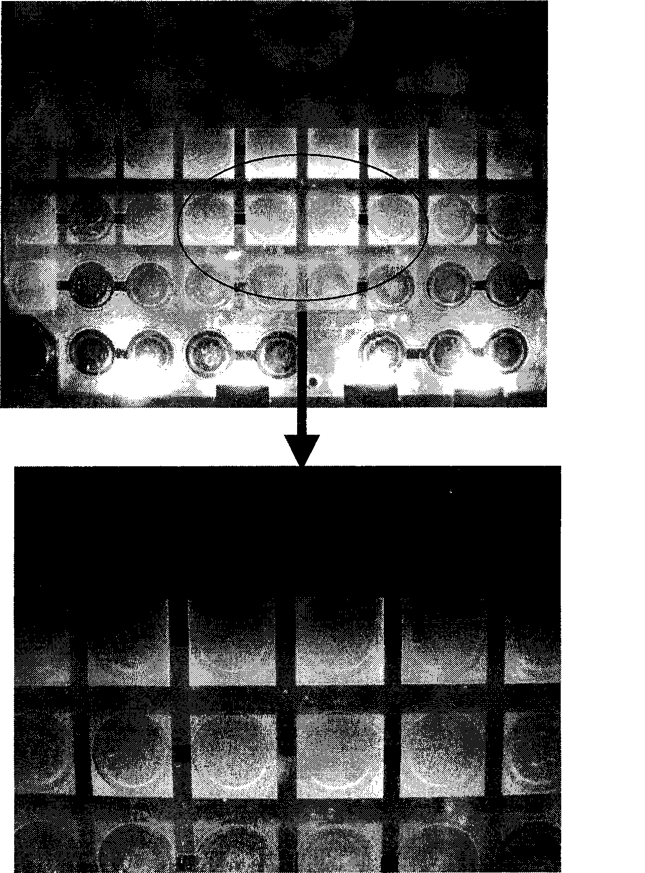 Press-key backlight light-guiding film and its production method