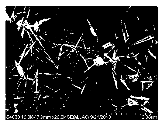 Negative pole active material, preparation method thereof and lithium-ion battery