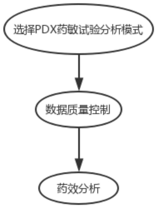 Drug susceptibility analysis method, analysis system and application for non-diagnostic and therapeutic purposes of tumor transplantation model