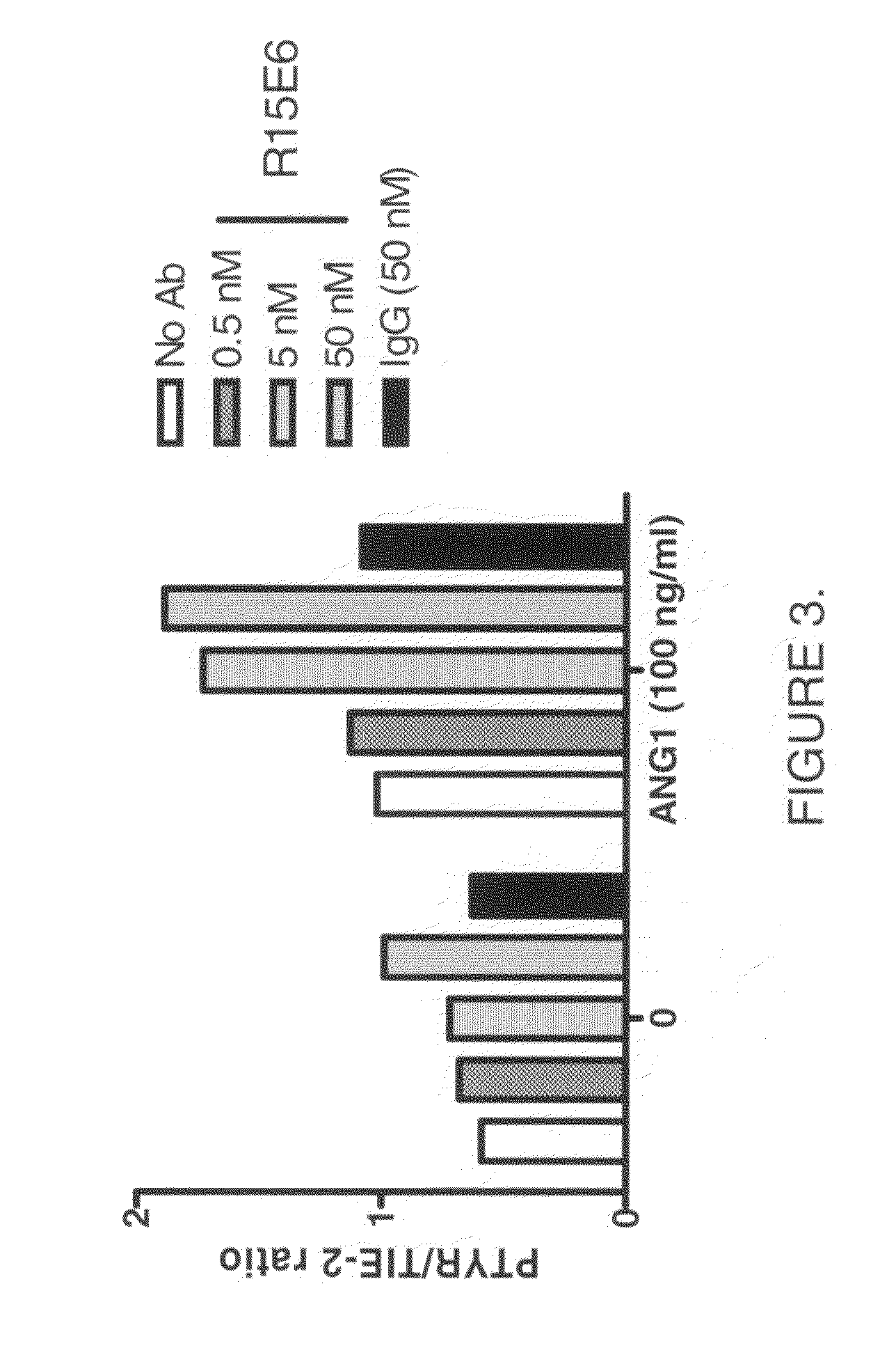 Antibodies that bind human protein tyrosine phosphatase beta (HPTPβ)