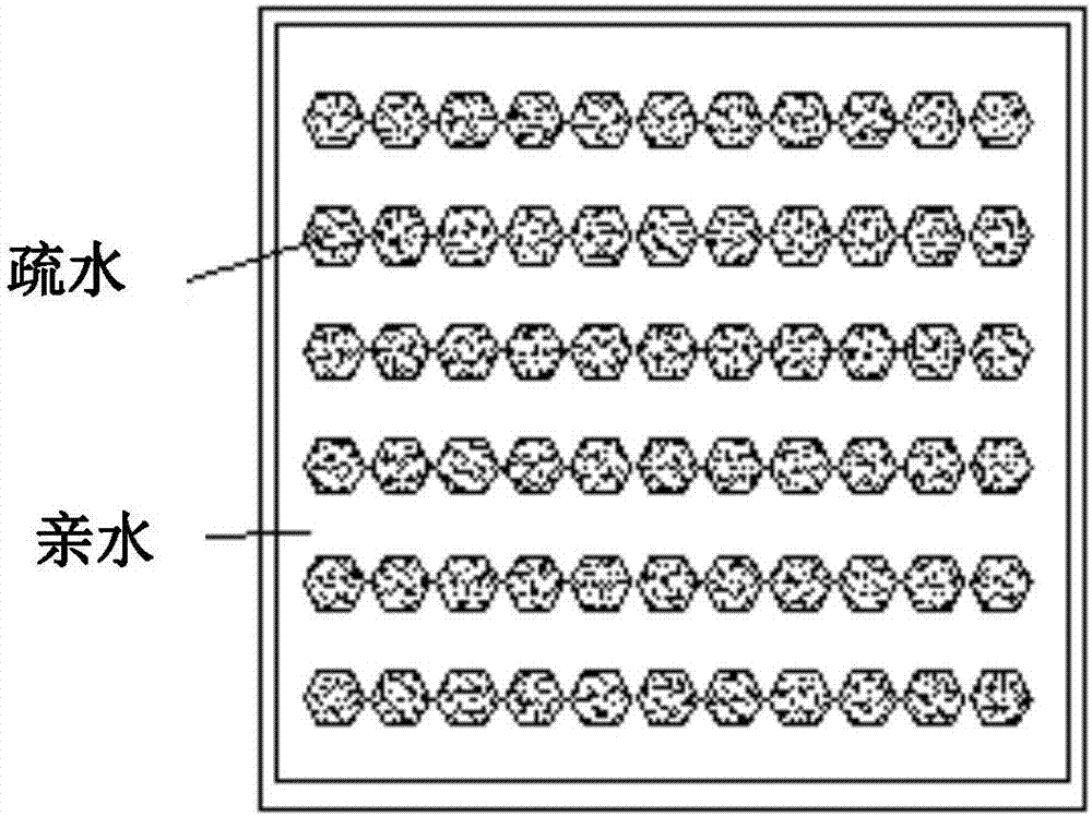 Micro-patterned wetted surface, preparation method of micro-patterned wetted surface, and micro-patterned wetted surface applicable to spray cooling device