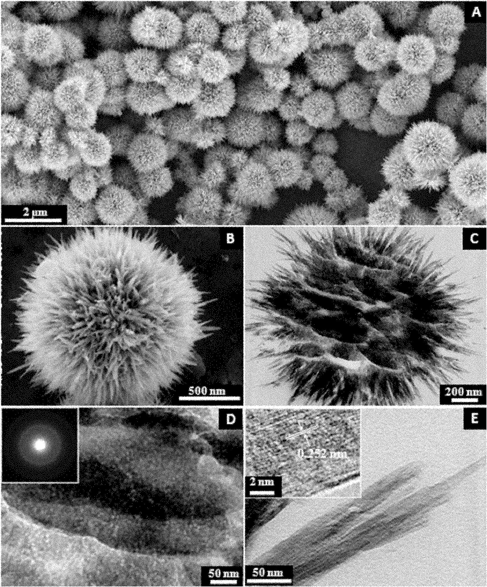 Chinese chestnut shaped ferric oxide shell structure magnetic absorbent particle and preparation method thereof