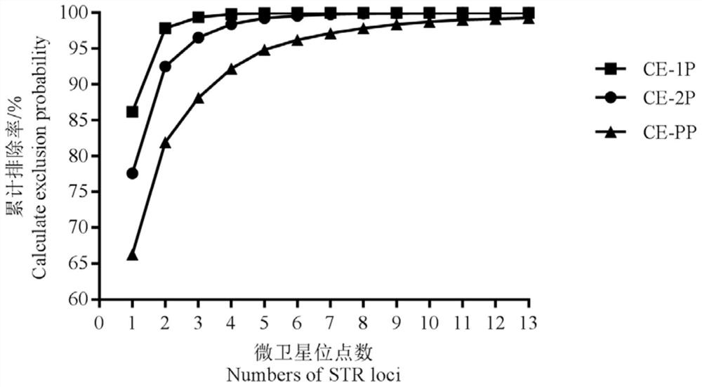 A microsatellite marker parentage identification primer, method and application suitable for Nile tilapia, Olia tilapia and their hybrids