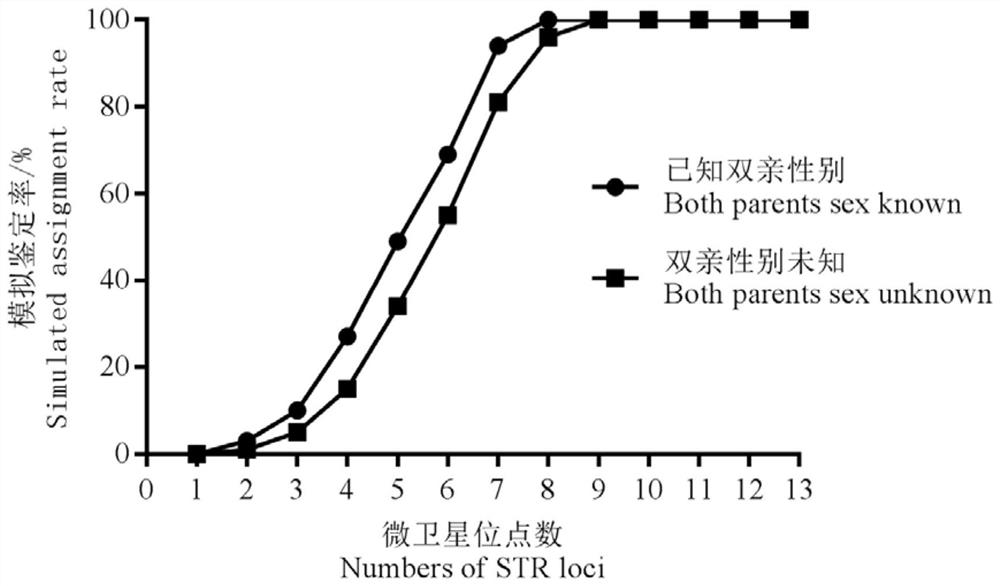 A microsatellite marker parentage identification primer, method and application suitable for Nile tilapia, Olia tilapia and their hybrids