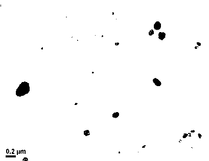 Preparation method of gene and hydrophobic drug co-supported PEG (polyethyleneglycol) nanoparticles