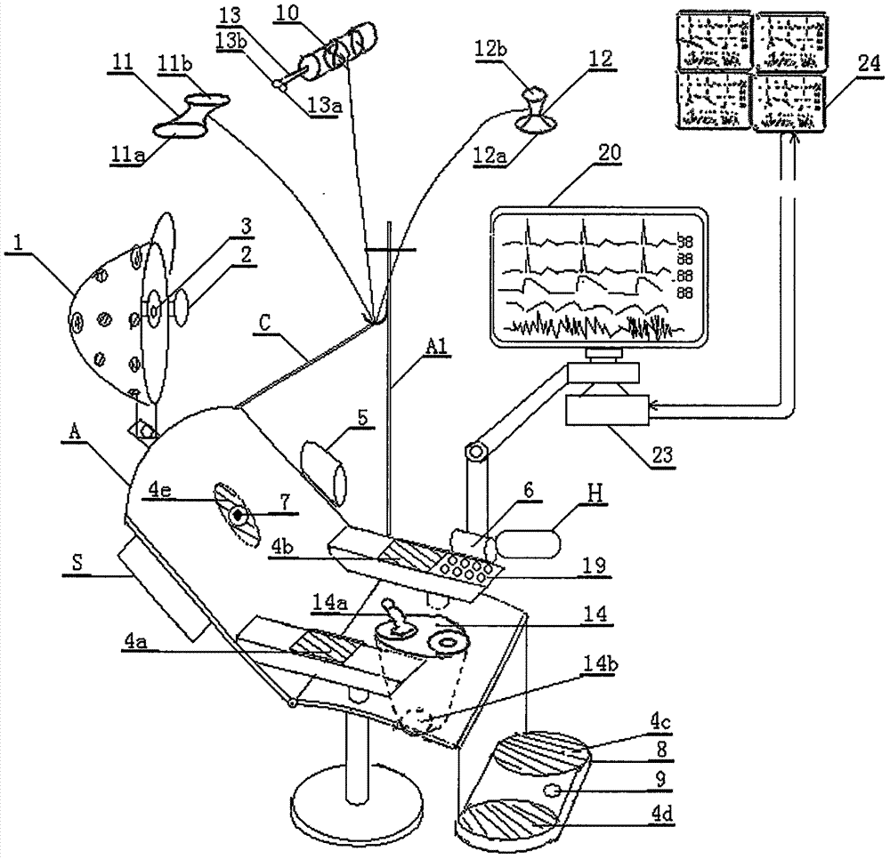 Multi-functional bed-chair assembly for physical examination