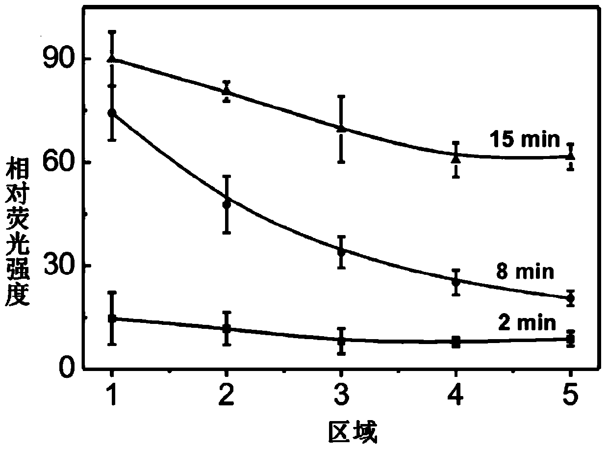 Ordered fiber scaffold loaded with gradient concentration bioactive molecules, preparation method and application