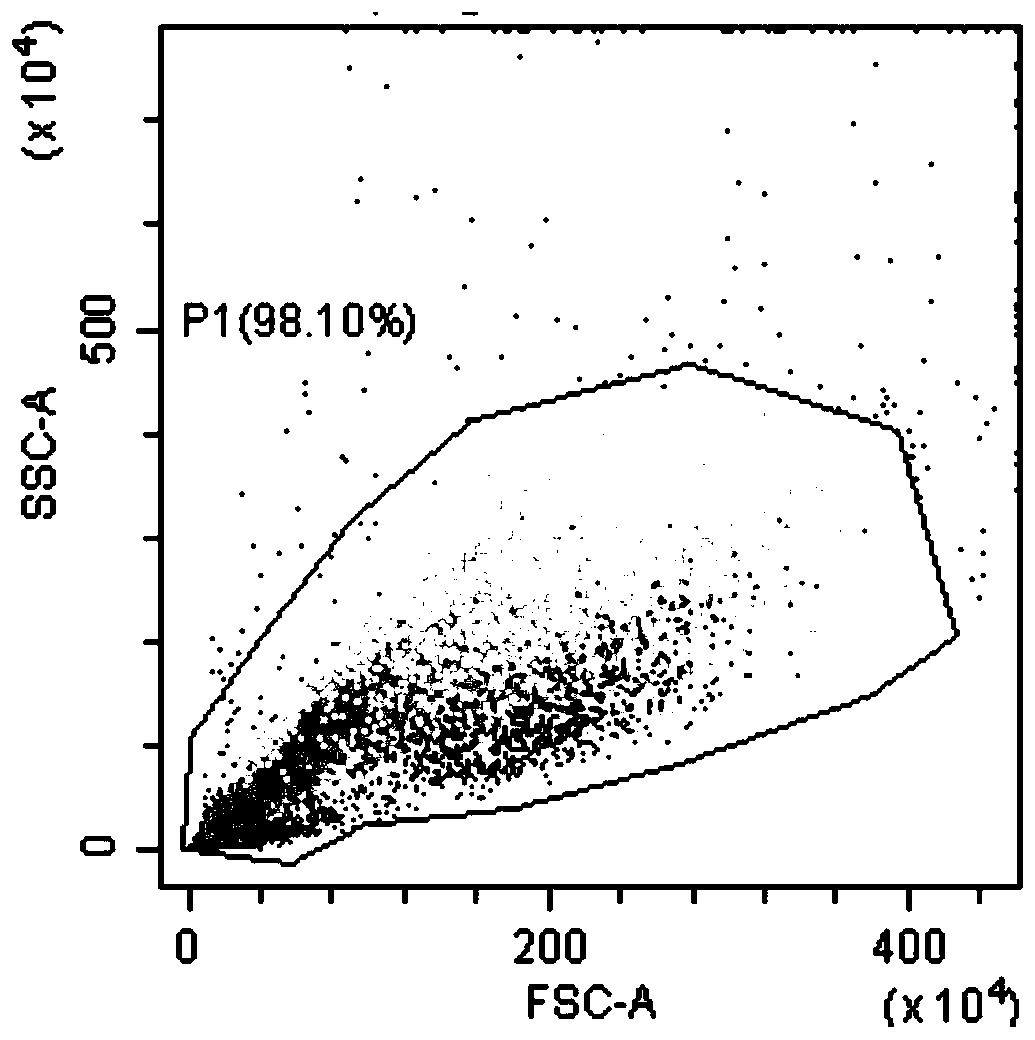 Mixed stem cell injection containing three vascular regeneration attributes and preparation method thereof