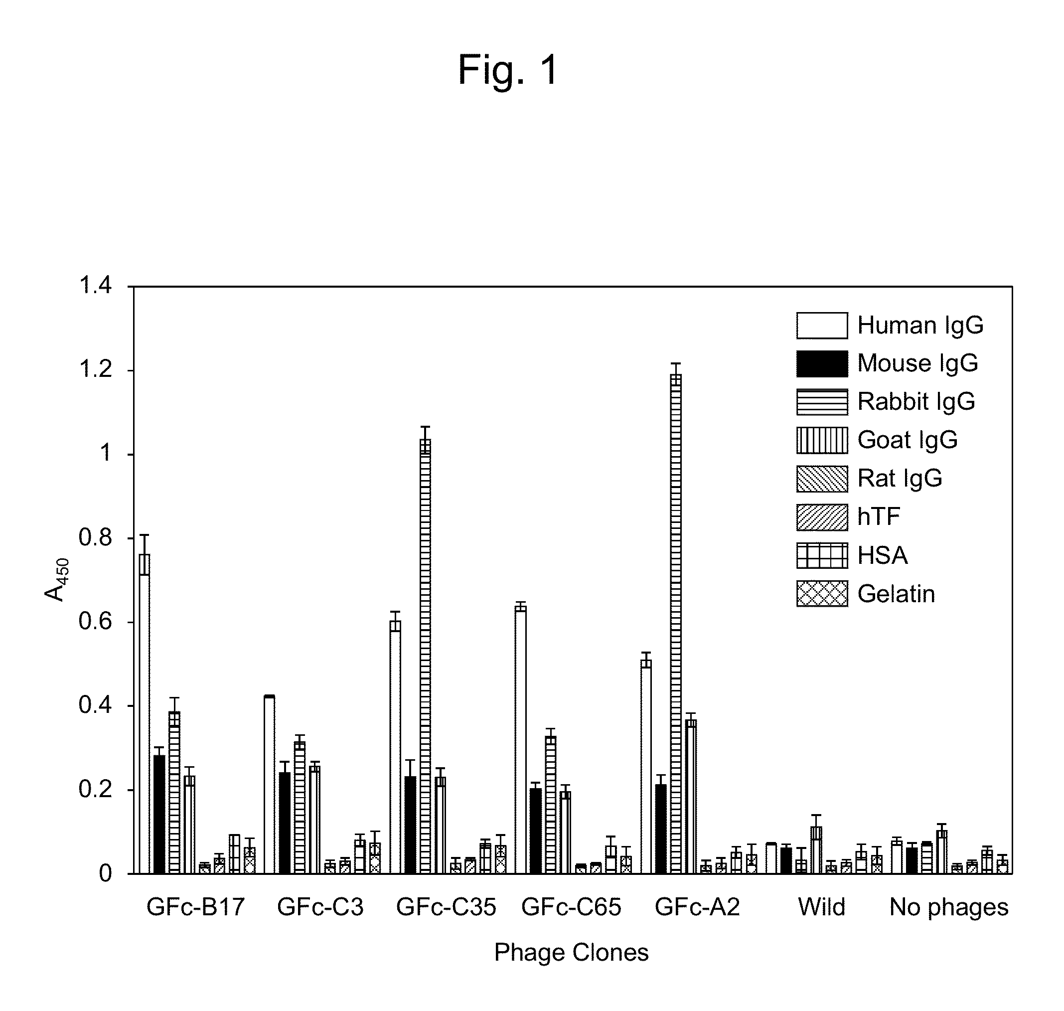 IgG-binding peptide and method for detecting and purifying IgG using same