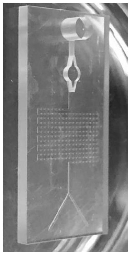 Micro-fluidic chip and preparation and application thereof