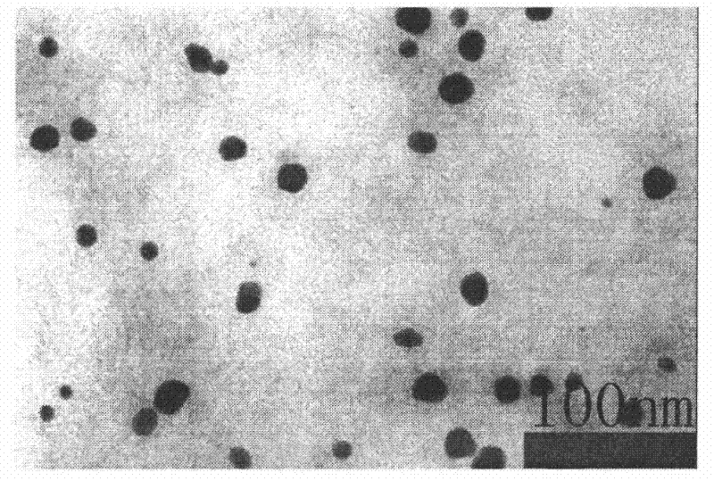 Method for preparing gold crystals by adopting surface active agent molecule C18N3