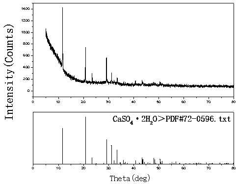 Method for preparing low magnesium calcium sulfate dihydrate byproduct from sulfuric acid rare earth solution