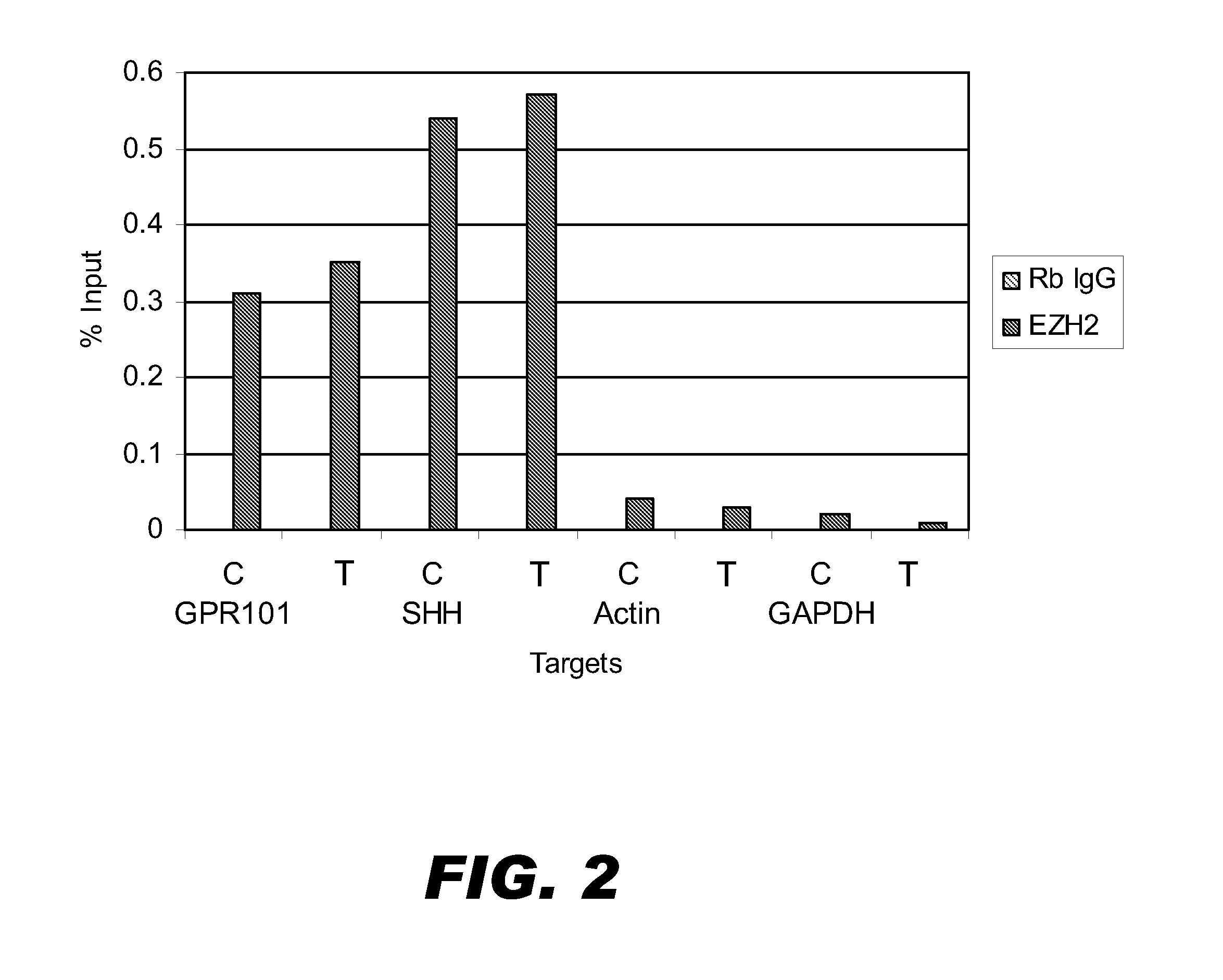 Cells for chromatin immunoprecipitation and methods for making