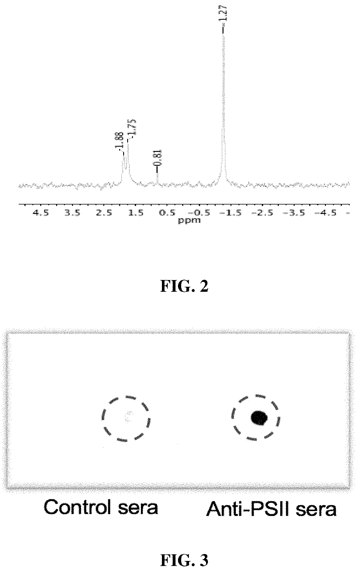 Clostridium difficile immunogenic compositions and methods of use