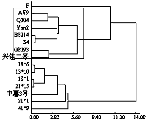 A method and application of cold resistance identification of potato resources