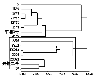 A method and application of cold resistance identification of potato resources