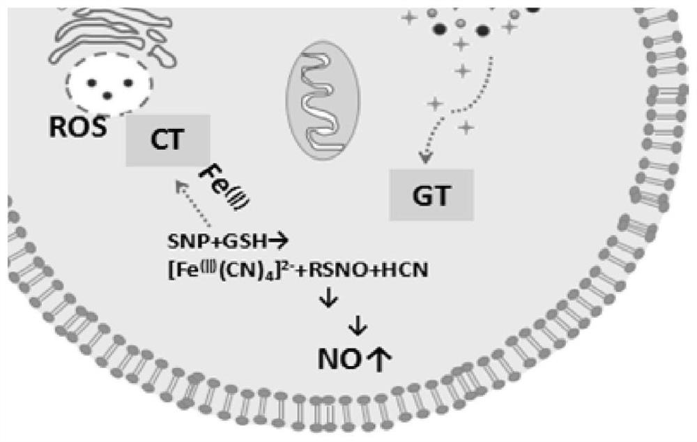 Multifunctional anti-tumor nano-drug as well as preparation method and application thereof