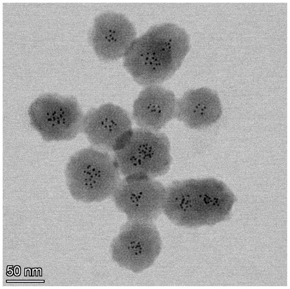 Multifunctional anti-tumor nano-drug as well as preparation method and application thereof