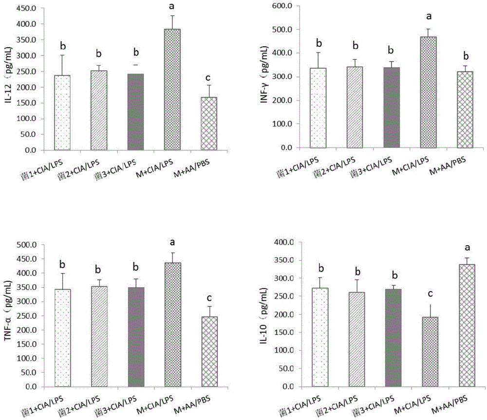 Application of lactobacillus crispatus in treating or preventing rheumatoid arthritis or related diseases