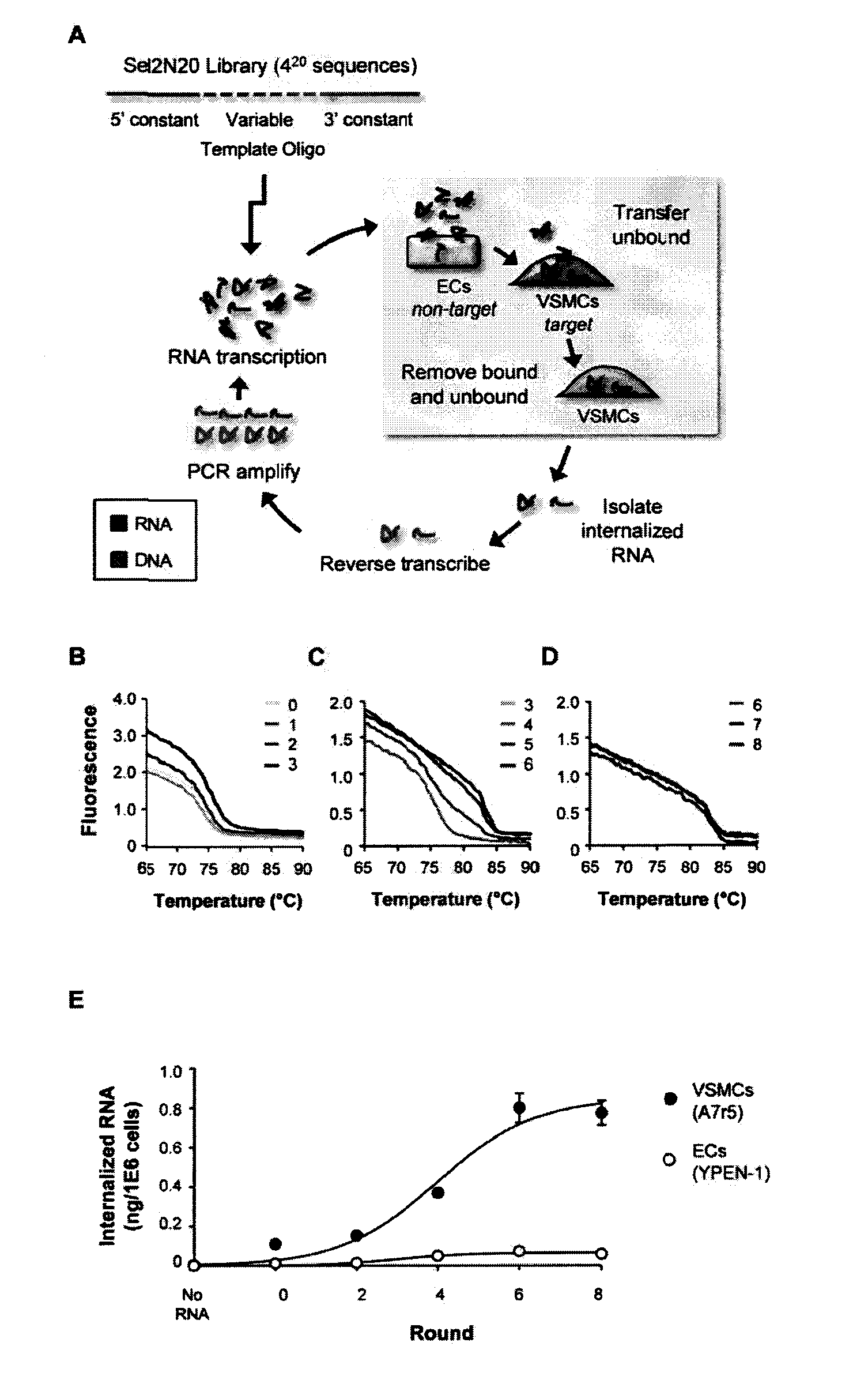 Nucleic acid aptamers