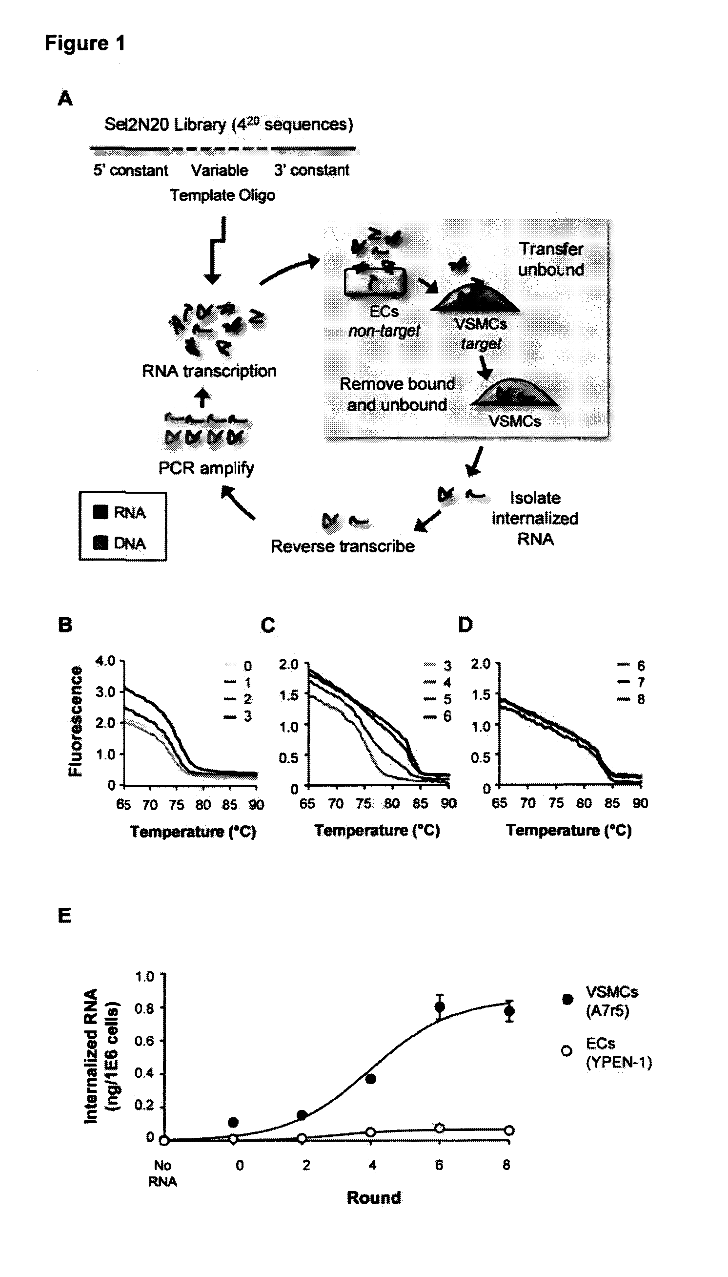 Nucleic acid aptamers