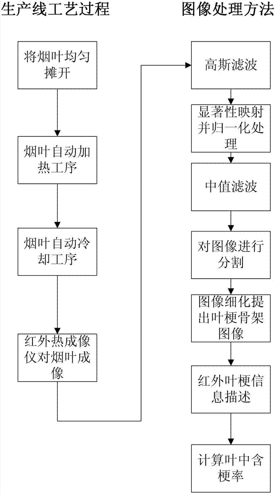 Stem content in leaf infrared imaging detection method based on active heating