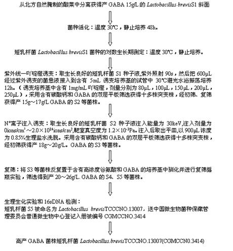 Method for producing high-yield gamma-propalanine and application thereof