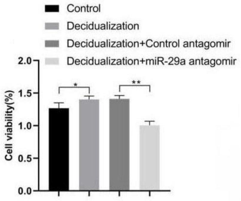 MiRNA marker for diagnosing early abortion and application thereof