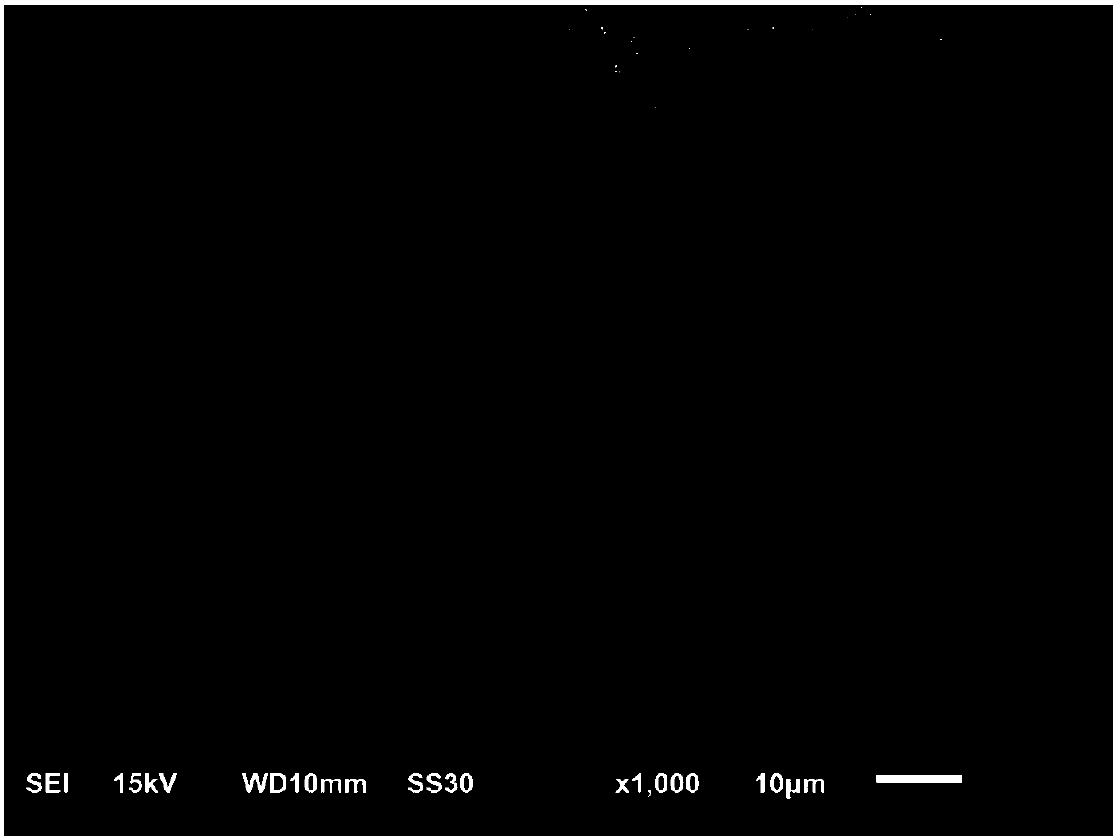 Cellulose/silicon oxide composite aerogel elastomer, preparation method thereof and application of elastomer in field of oil-water separation