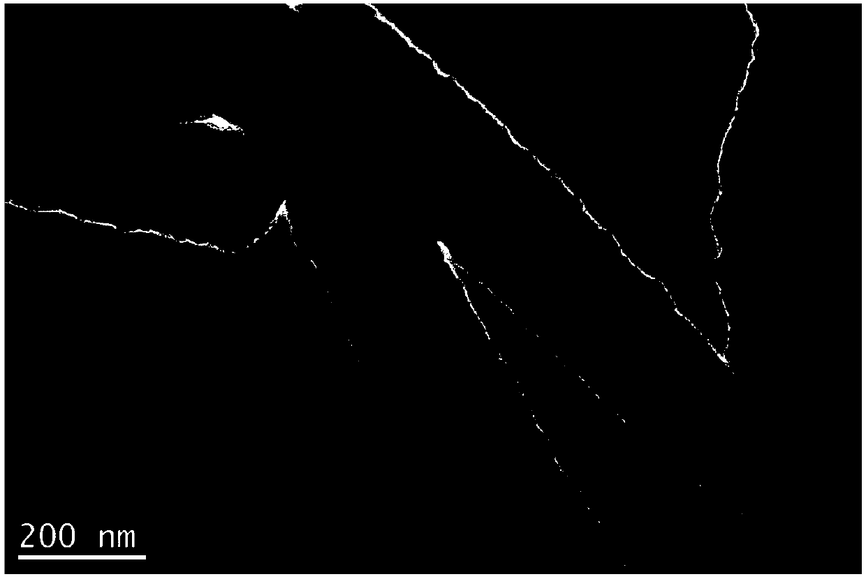 Cellulose/silicon oxide composite aerogel elastomer, preparation method thereof and application of elastomer in field of oil-water separation