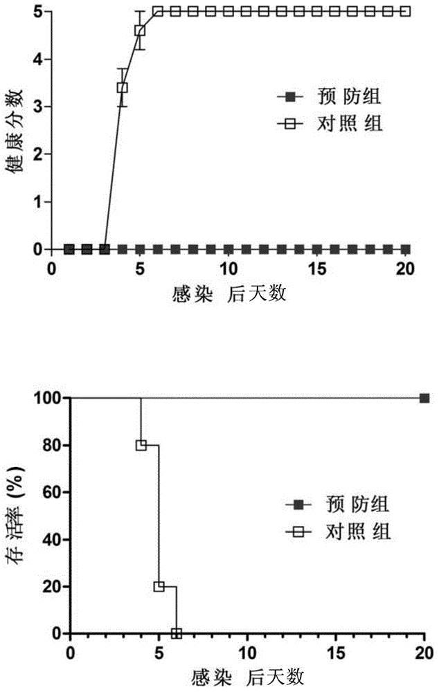 Monoclonal antibody for detecting solid particles of coxsackievirus A16 and use of monoclonal antibody