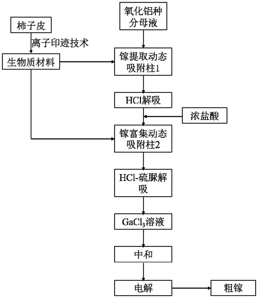 Method for enriching and extracting gallium from alumina seed precipitation mother liquor on basis of biomass material