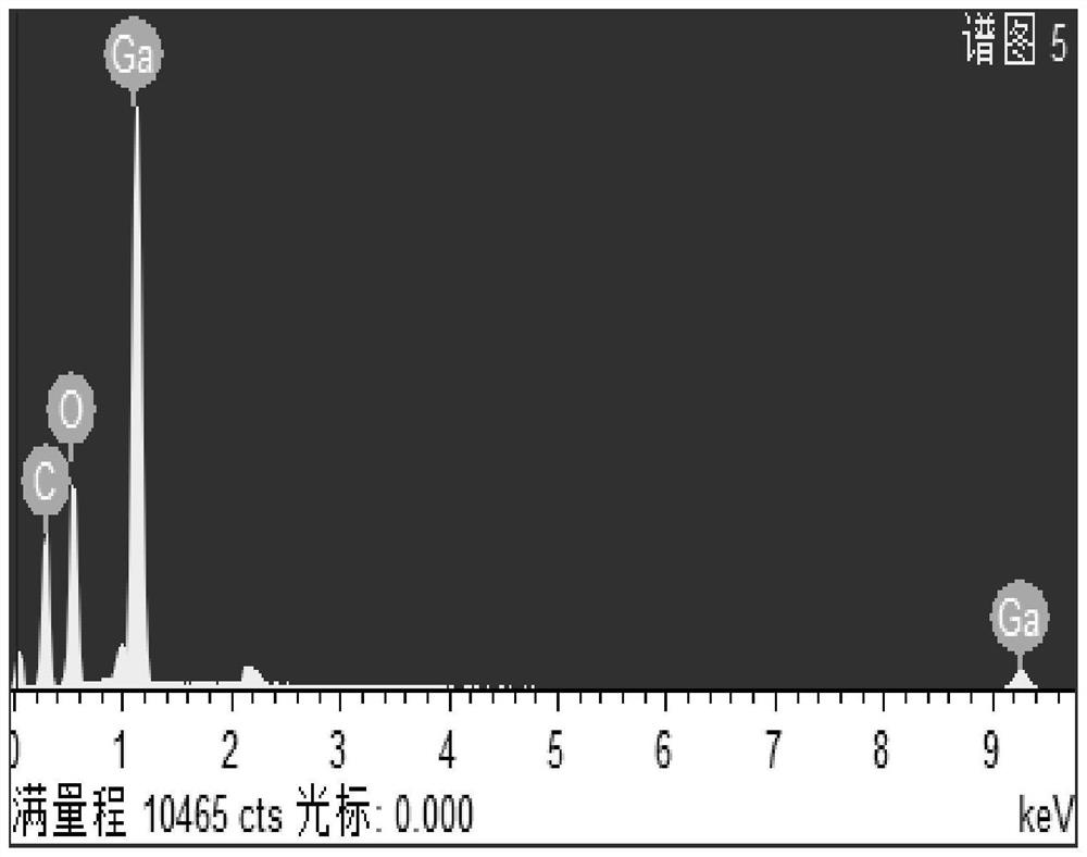 Method for enriching and extracting gallium from alumina seed precipitation mother liquor on basis of biomass material