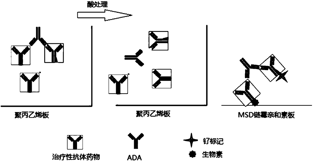 Device and method for removing free drug in anti-drug antibody detecting sample, preparation method and application thereof