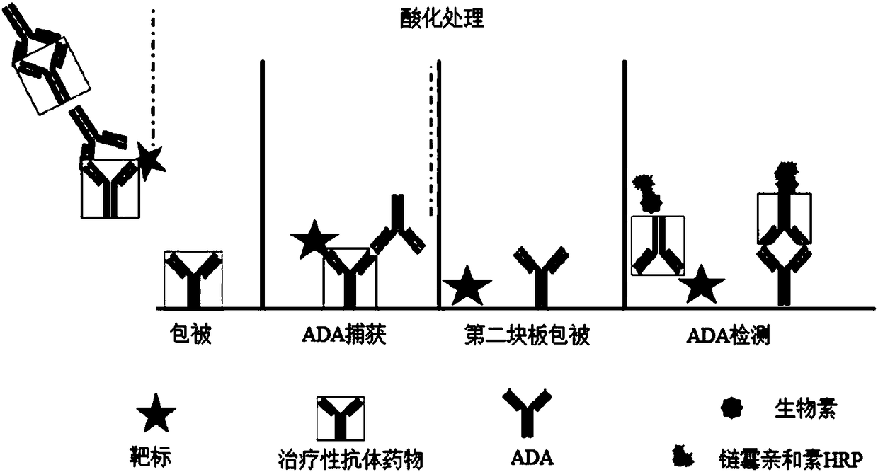 Device and method for removing free drug in anti-drug antibody detecting sample, preparation method and application thereof