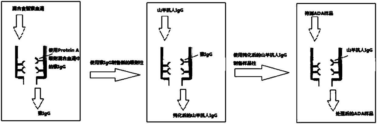 Device and method for removing free drug in anti-drug antibody detecting sample, preparation method and application thereof