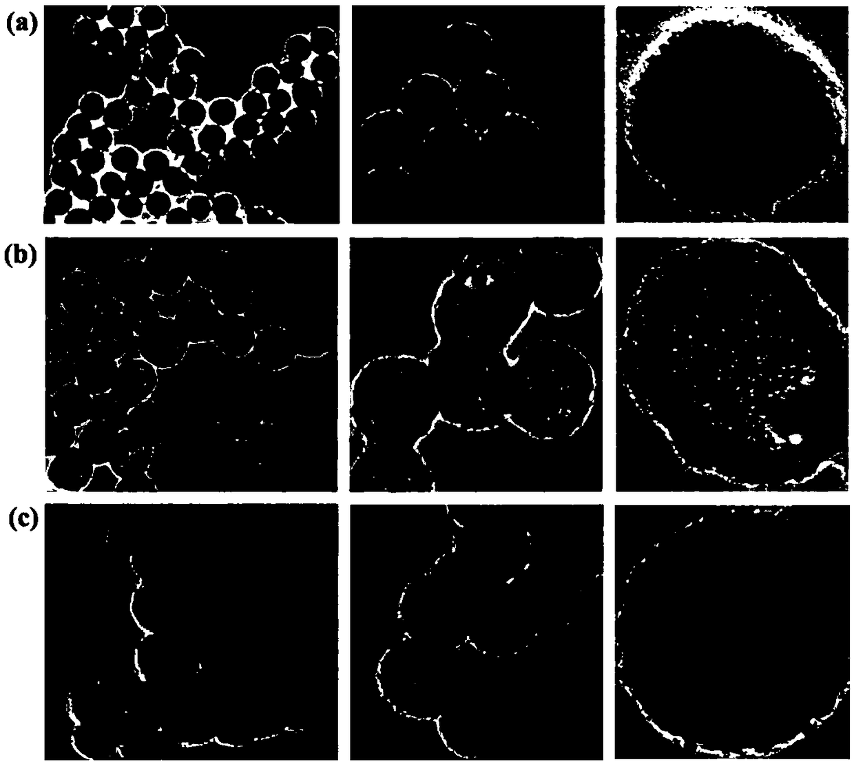 Polydopamine coated gold core/hollow silica shell nanometer material as well as preparation and application thereof