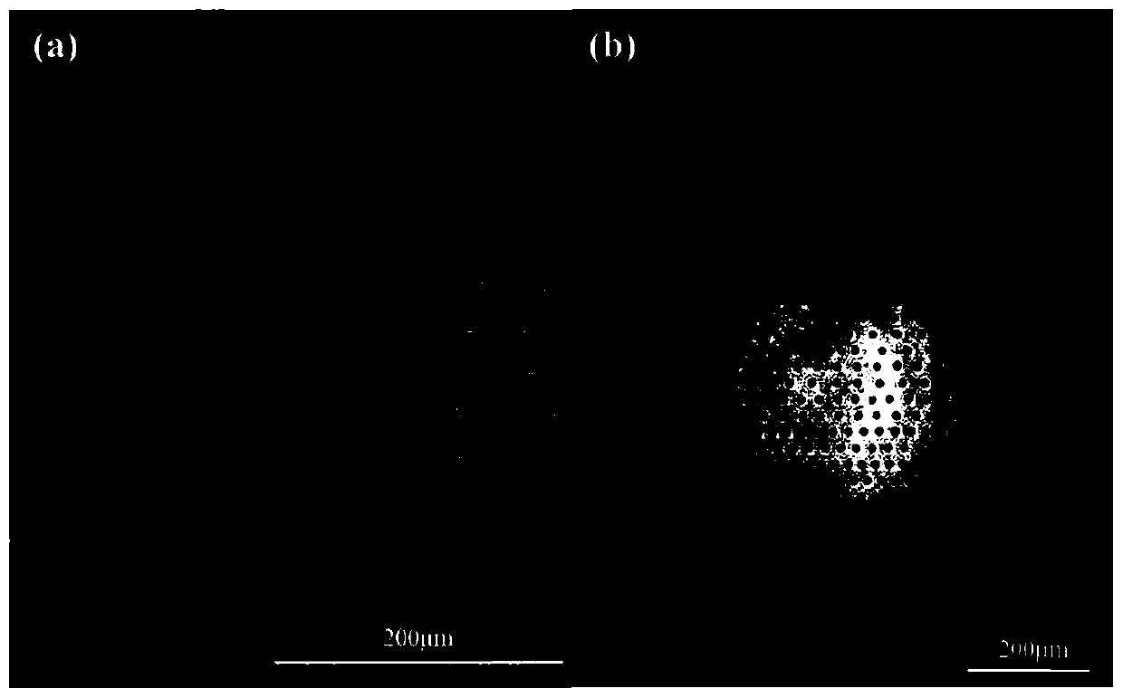 Real-time monitoring optical path system for micro-nano structure appearance in ink-jet printing