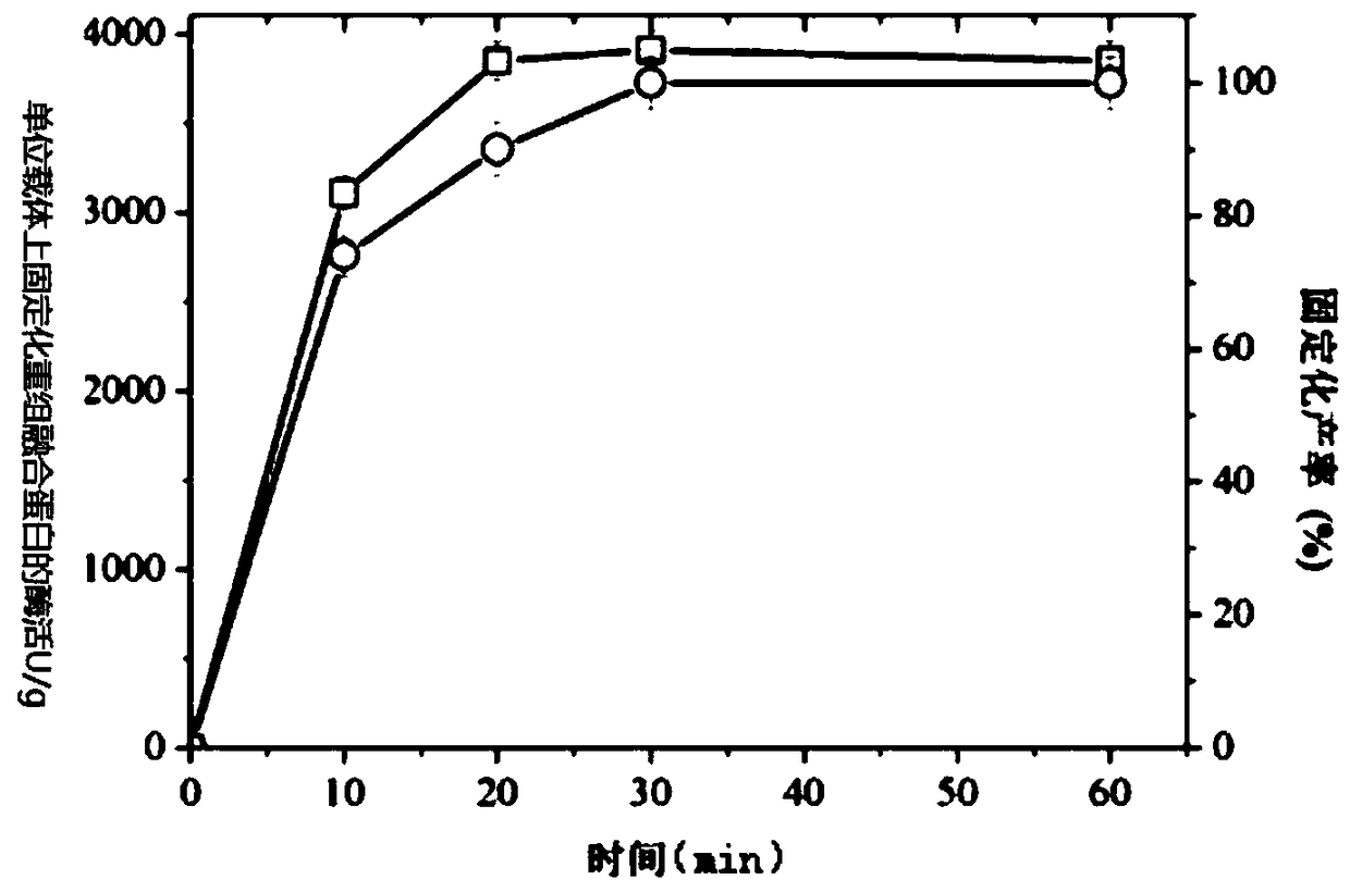 Immobilized xylanase, preparation method and application of immobilized xylanase