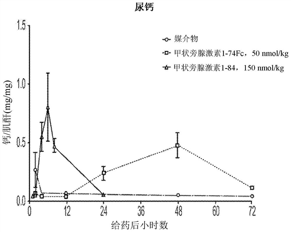 Parathyroid hormone variants