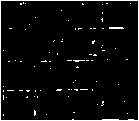 Lactobacillus plantarum and application thereof in preparation of Sichuan sausages by fermentation