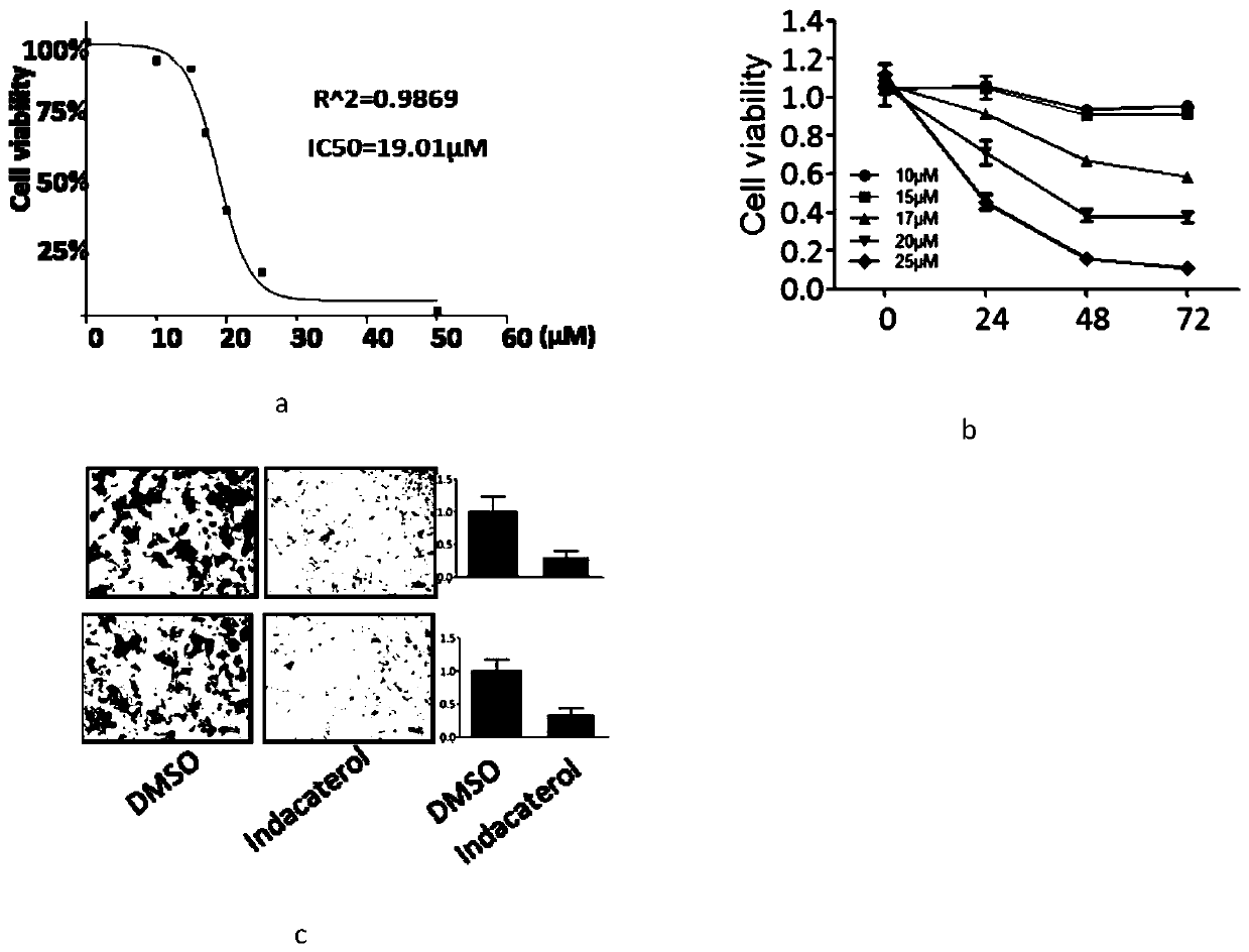 Application of indacaterol in the treatment of colorectal cancer