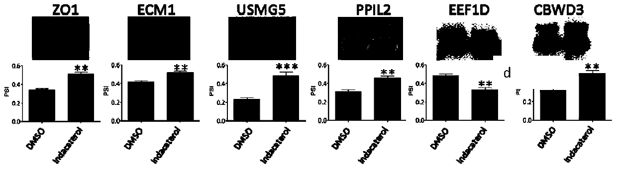 Application of indacaterol in the treatment of colorectal cancer