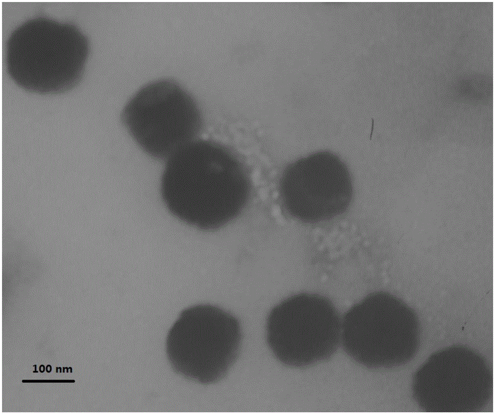 ATP (adenosine triphosphate) sensitive fluorescent probe lipidosome with tumor targeting and tracing effects, and preparation method and application thereof