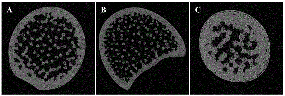 Corn stalk Micro-CT scanning sample and preparing method and application thereof