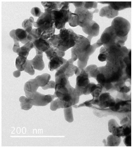 Network doped perovskite catalyst and preparation method and application thereof