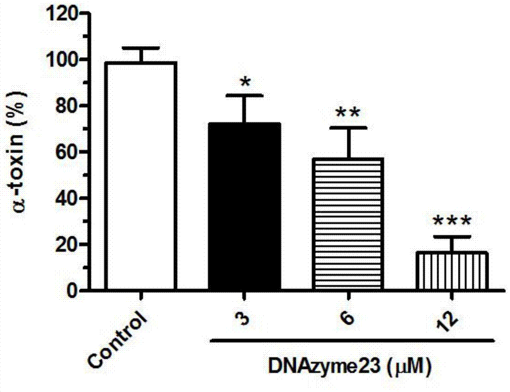 Application of an antisense deoxyribozyme against mrsa quorum sensing agr system